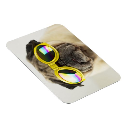 Pug met Goggles Magneet (Rechterzijde)