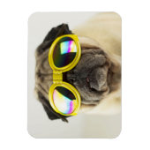 Pug met Goggles Magneet (Verticaal)