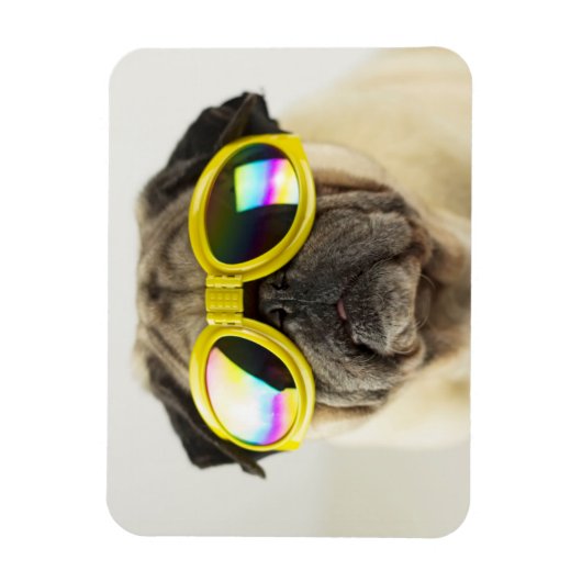 Pug met Goggles Magneet (Verticaal)