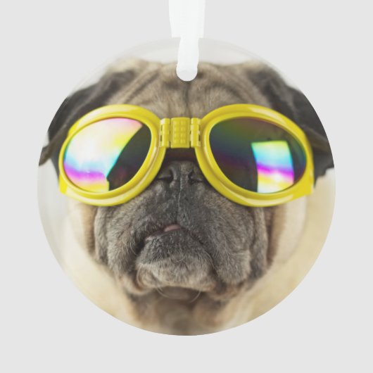 Pug met Goggles Ornament (achterkant)
