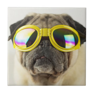 Pug met Goggles Tegeltje