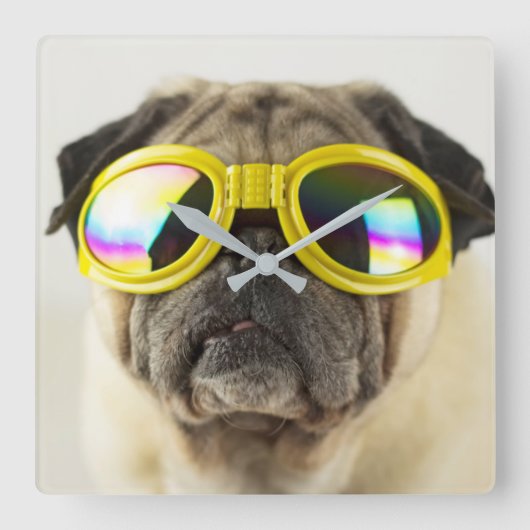 Pug met Goggles Vierkante Klok (Voorkant)