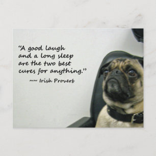 Pug met het Ierse Proverb-Briefkaart Briefkaart