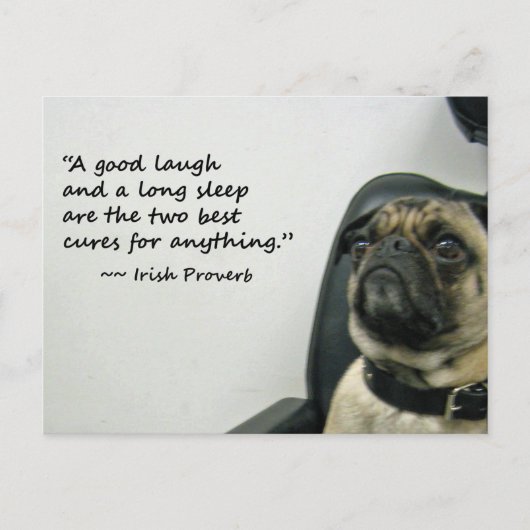 Pug met het Ierse Proverb-Briefkaart Briefkaart (Voorkant)