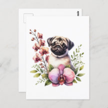 Pug met Orchid Branch, Postcrossing