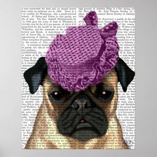 Pug met Paars Pet Poster (Voorkant)