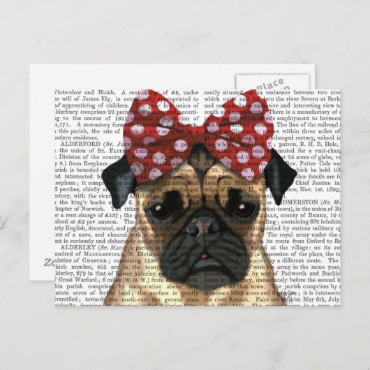 Pug met roodborstbedekking op kop briefkaart (Voorkant / Achterkant)