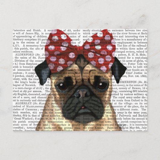 Pug met roodborstbedekking op kop briefkaart (Voorkant)