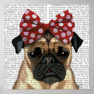 Pug met roodborstbedekking op kop poster