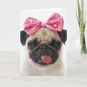 Pug met roze bus kaart