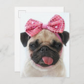 Pug met roze romp briefkaart (Voorkant / Achterkant)