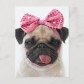 Pug met roze romp briefkaart (Voorkant)