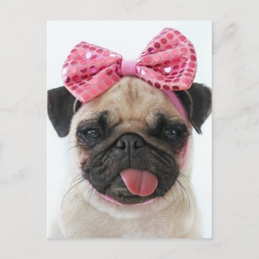 Pug met roze romp briefkaart (Voorkant)