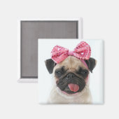 Pug met roze romp magneet (Voorkant / Achterkant)