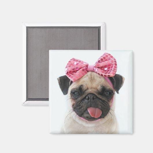 Pug met roze romp magneet (Voorkant / Achterkant)