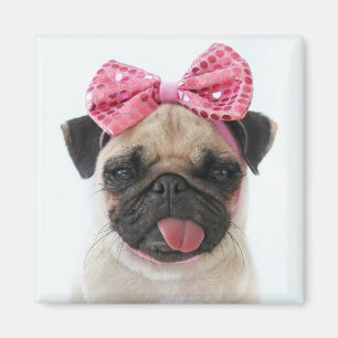 Pug met roze romp magneet