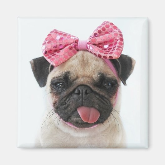 Pug met roze romp magneet (Voorkant)