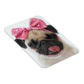 Pug met roze romp magneet (Rechterzijde)