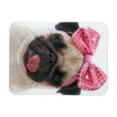 Pug met roze romp magneet (Horizontaal)