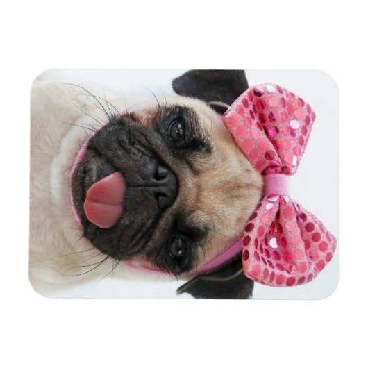 Pug met roze romp magneet (Horizontaal)