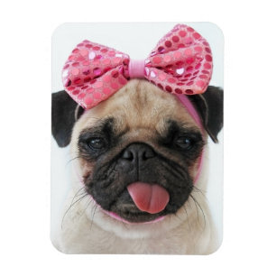 Pug met roze romp magneet