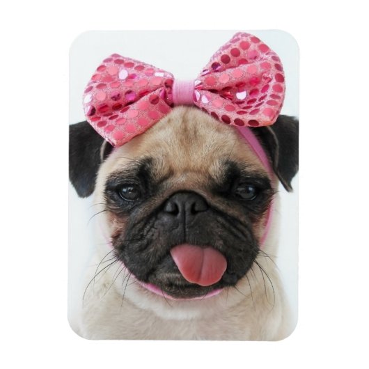 Pug met roze romp magneet (Verticaal)