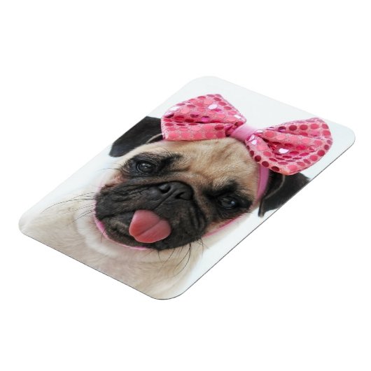 Pug met roze romp magneet (Linkerzijde)