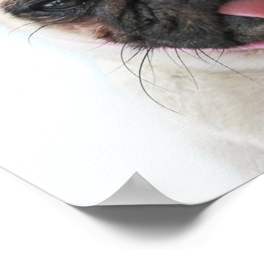 Pug met roze romp poster (Hoek)