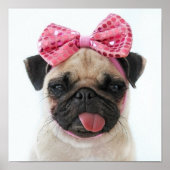 Pug met roze romp poster (Voorkant)