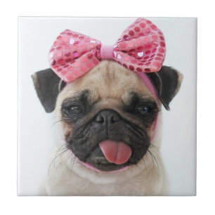 Pug met roze romp tegeltje