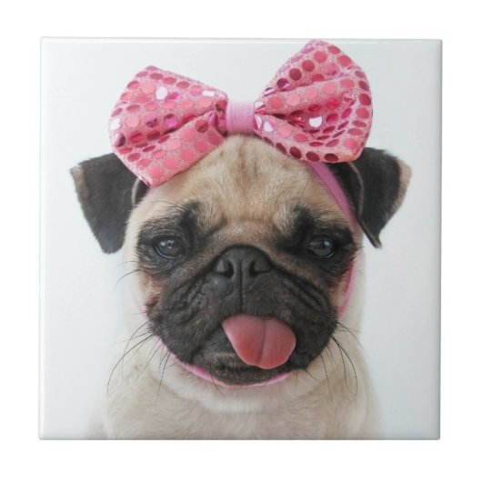 Pug met roze romp tegeltje (Voorkant)