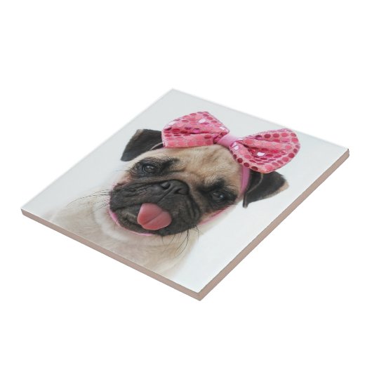 Pug met roze romp tegeltje (Zijkant)