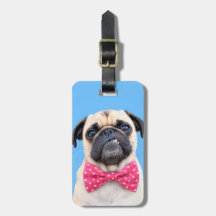 Pug met roze strik