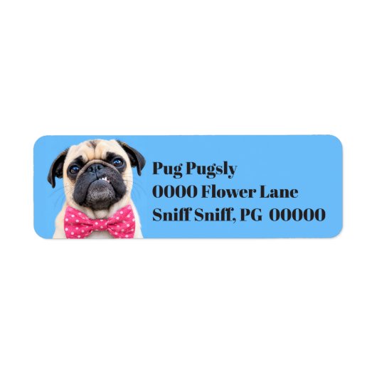 Pug met roze strik etiket (Voorkant)