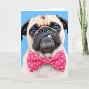 Pug met roze strik feestdagen kaart