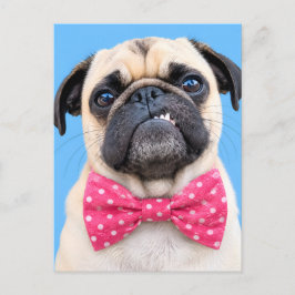 Pug met roze strik feestdagenkaart