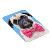 Pug met roze strik magneet (Rechterzijde)