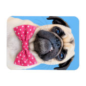 Pug met roze strik magneet (Horizontaal)