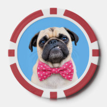 Pug met roze strik