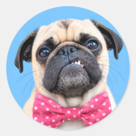 Pug met roze strik ronde sticker