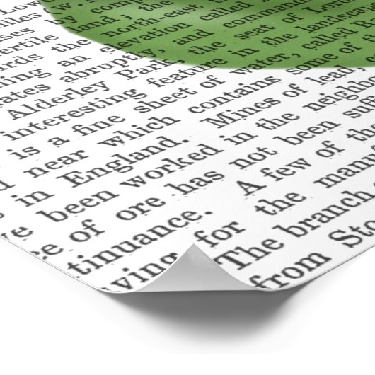 Pug met Steampunk Bowler Pet Poster (Hoek)