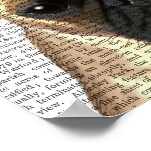 Pug met Tiara Poster (Hoek)