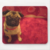 Pug Mousepad Machi Muismat (Voorkant)