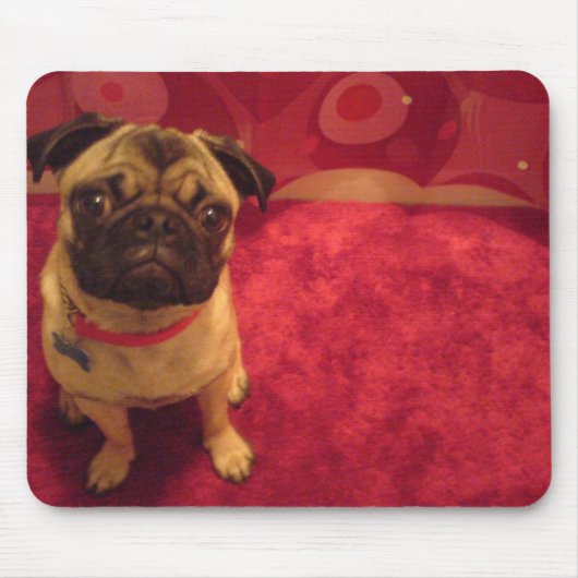 Pug Mousepad Machi Muismat (Voorkant)