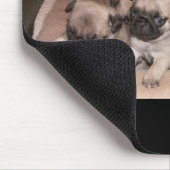 pug muismat (Hoek)