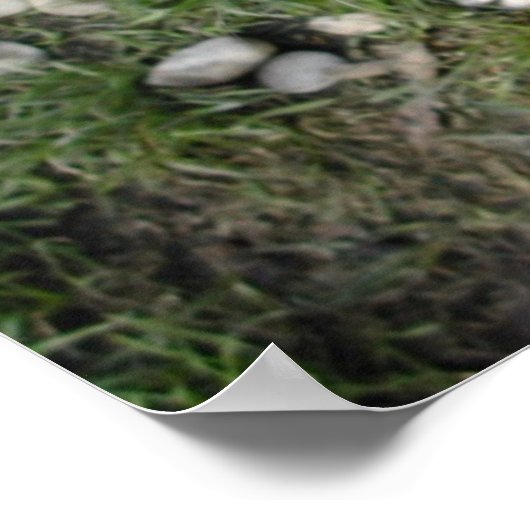 Pug n Pebbles Print (Hoek)