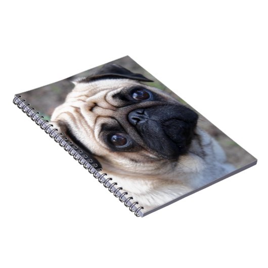 PUG NOTITIEBOEK (Rechterzijde)