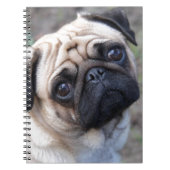 PUG NOTITIEBOEK (Voorkant)