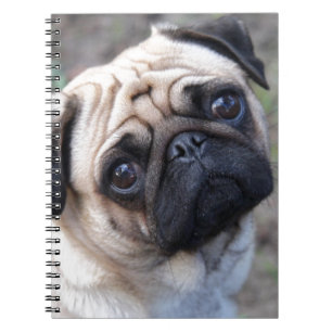 PUG NOTITIEBOEK