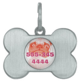 PUG_oranje3.png Huisdieren Naamplaatje